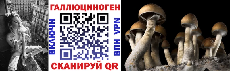Галлюциногенные грибы GOLDEN TEACHER  что такое наркотик  Злынка 